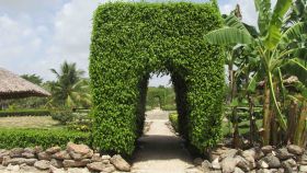 Belize vine covered walkway in garden – Best Places In The World To Retire – International Living